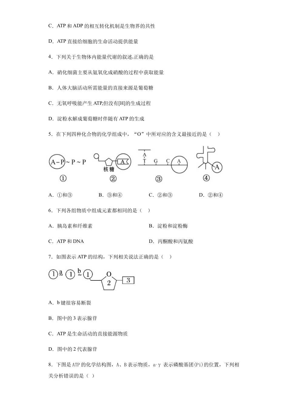 高中生物必修1 5.2 细胞的能量“货币”——ATP 练习 【新教材】人教版（2019）高中生物必修一.docx