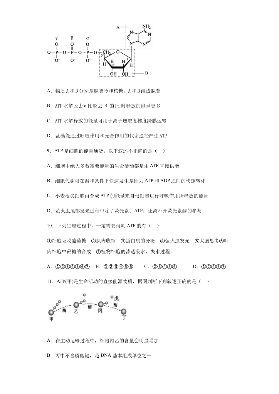 高中生物必修1 5.2 细胞的能量“货币”——ATP 练习 【新教材】人教版（2019）高中生物必修一.docx