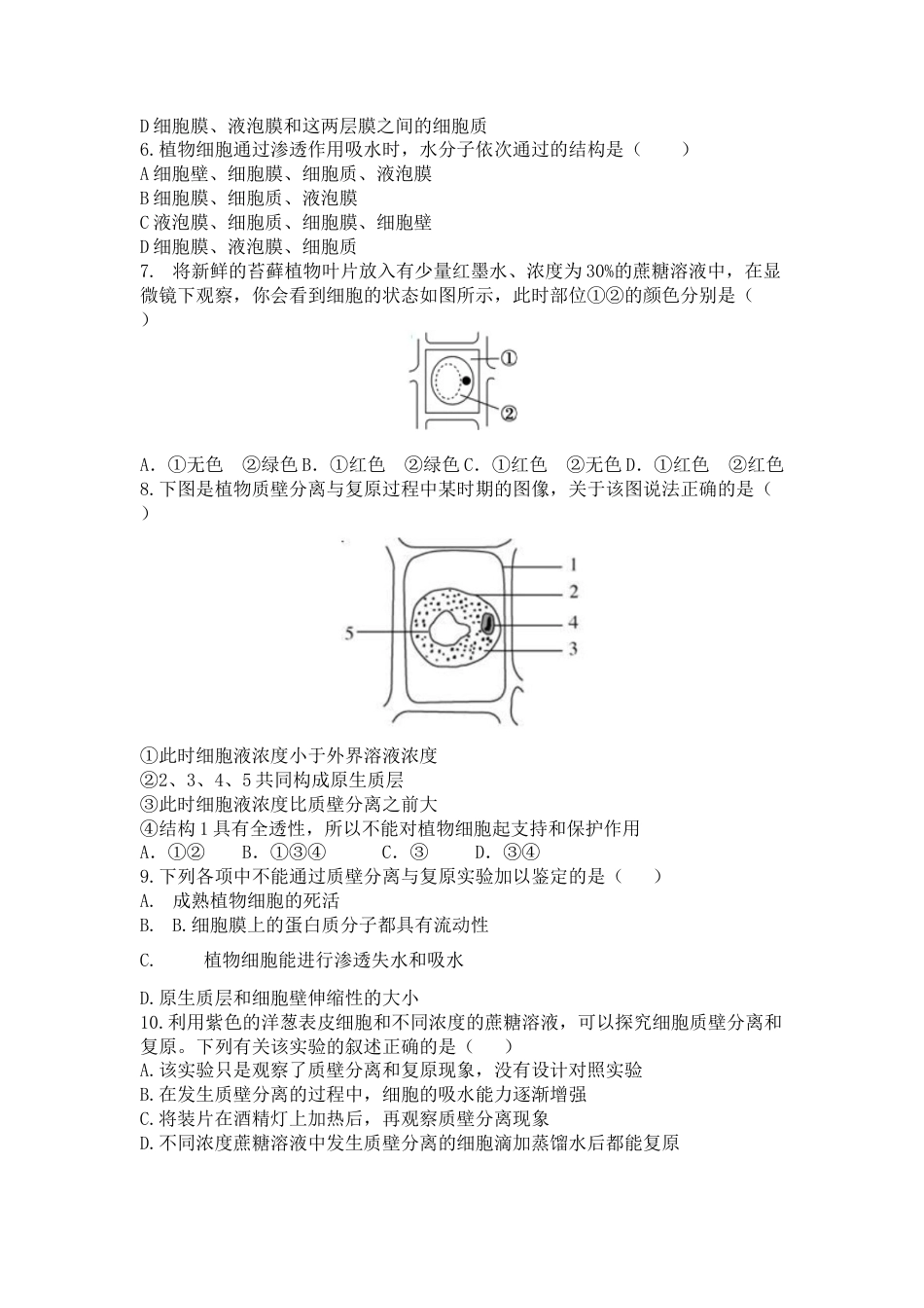 高中生物必修1 4.1 被动运输 练习【新教材】人教版（2019）高中生物必修一.doc
