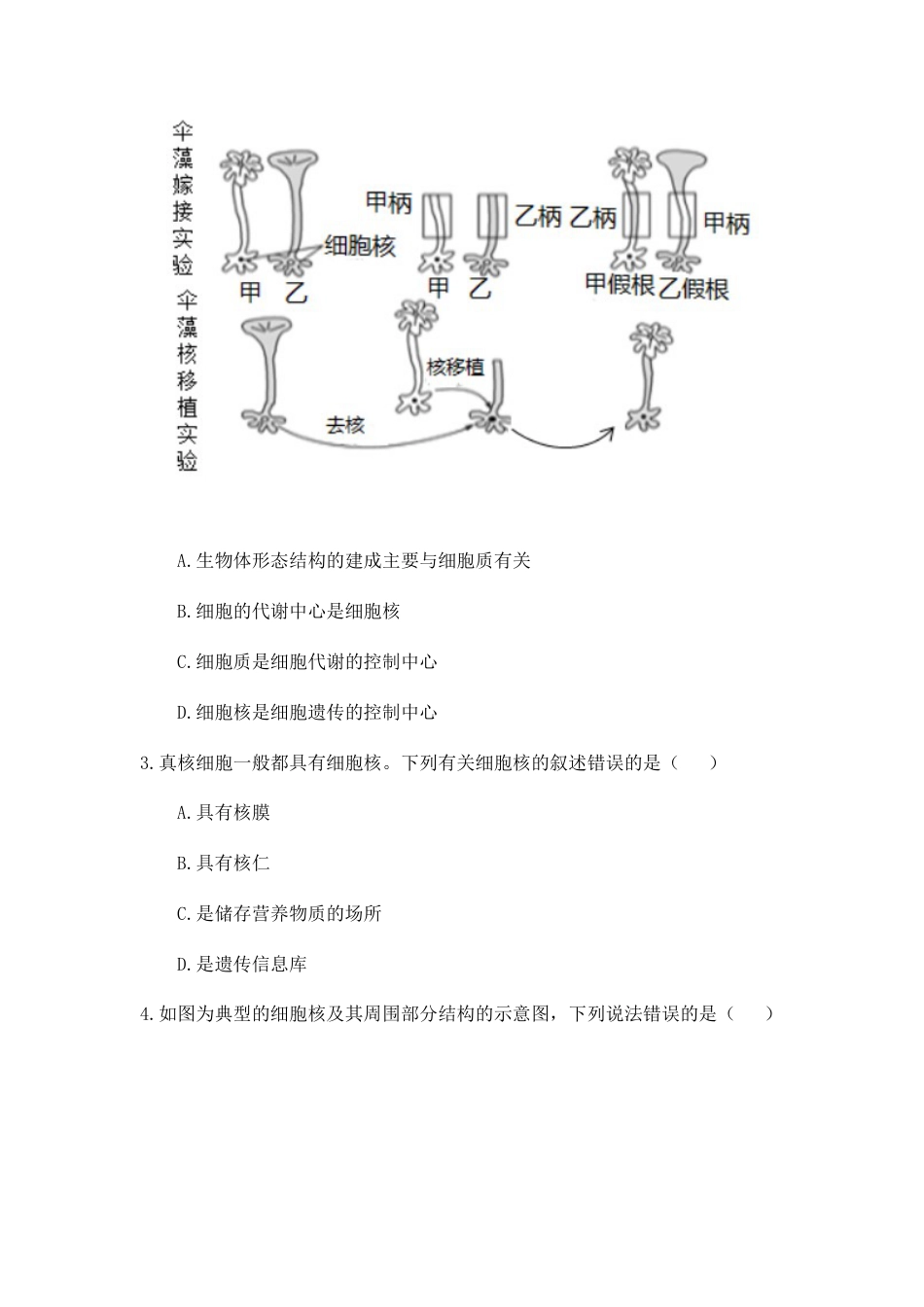 高中生物必修1 3.3 细胞核的结构和功能 练习【新教材】人教版（2019）高中生物必修一.docx