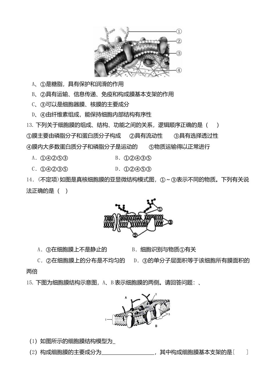 高中生物必修1 3.1 细胞膜的结构和功能 练习 【新教材】人教版（2019）高中生物必修一.doc