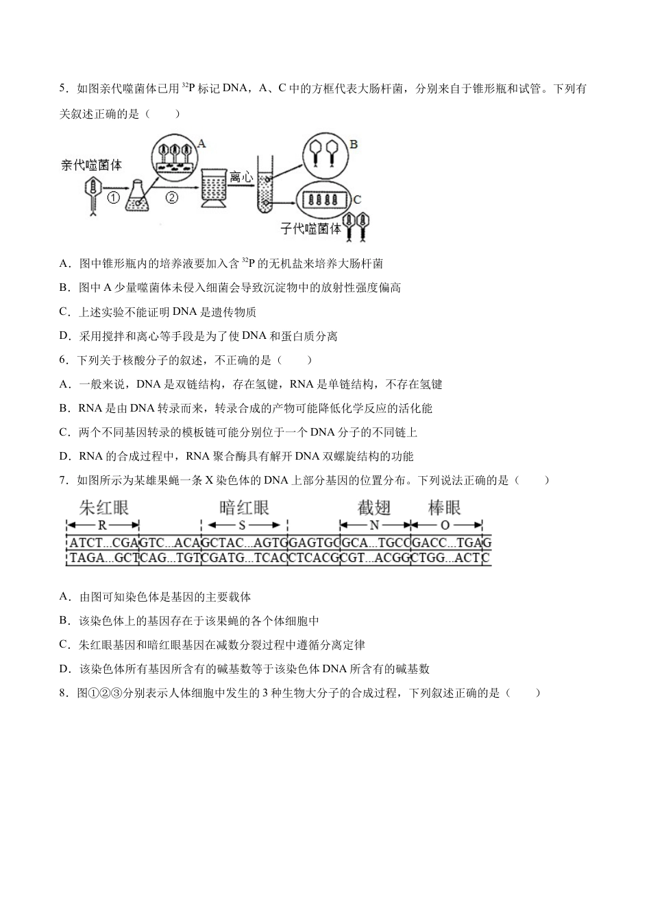 高中生物必修2 期末押题02-高一生物下学期期末专项复习（人教版2019必修2）（原卷版）.docx