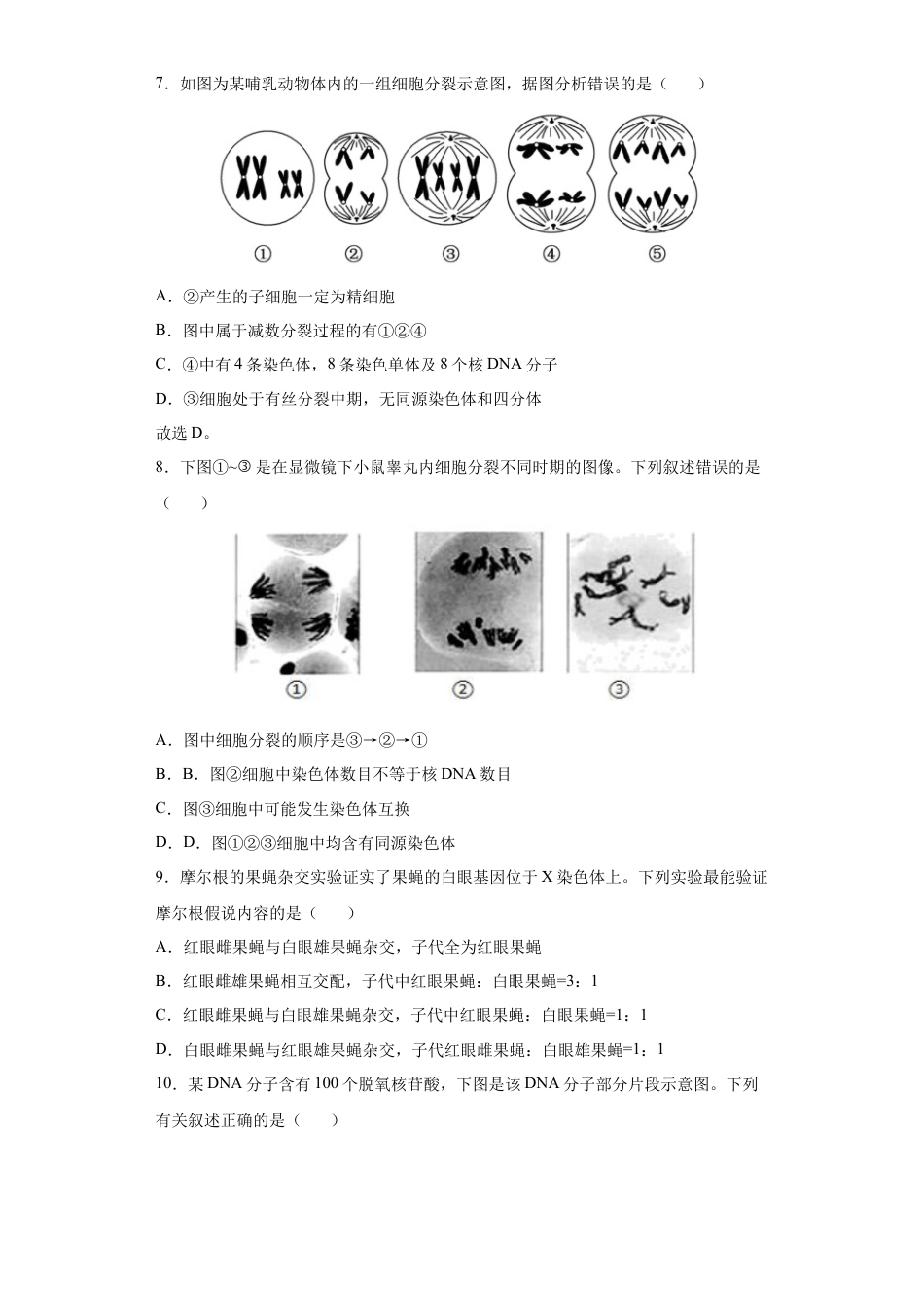 高中生物必修2 期末拔高卷5-【冲刺期末】高一生物下学期期末拔高冲刺卷（2019人教版）（原卷版）.docx
