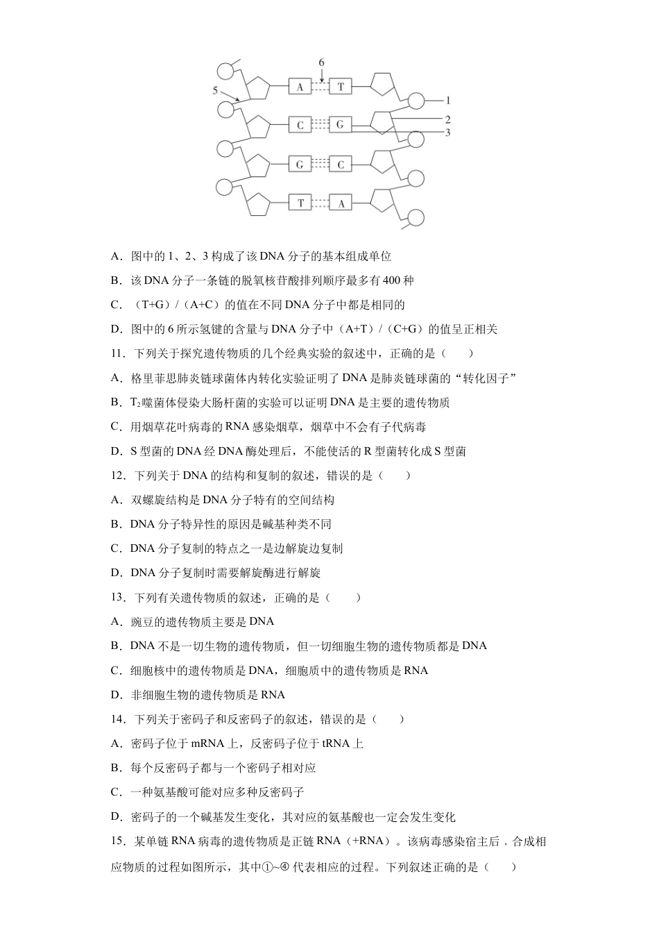 高中生物必修2 期末拔高卷5-【冲刺期末】高一生物下学期期末拔高冲刺卷（2019人教版）（原卷版）.docx