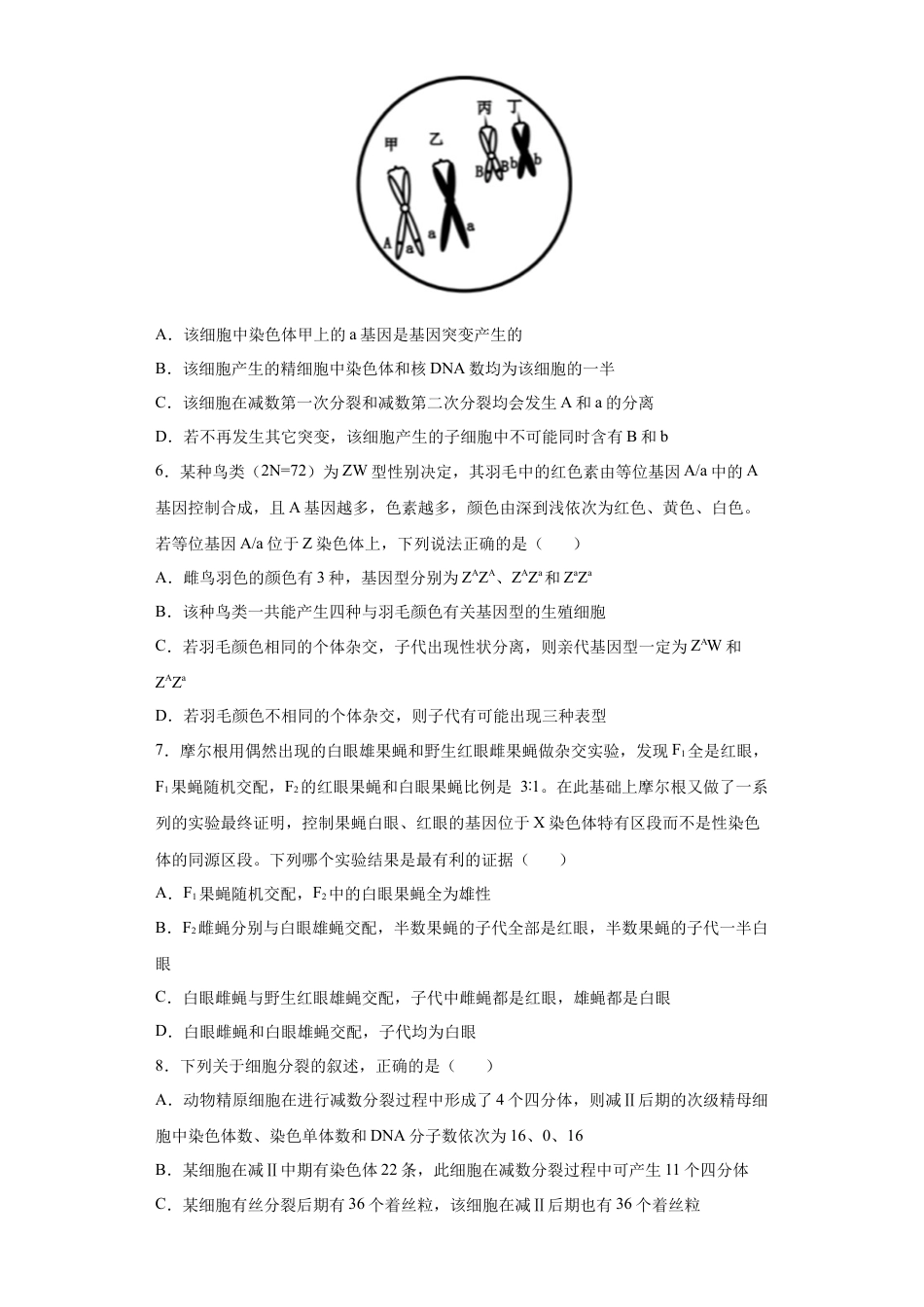 高中生物必修2 期末拔高卷4-【冲刺期末】高一生物下学期期末拔高冲刺卷（2019人教版）（原卷版）.docx