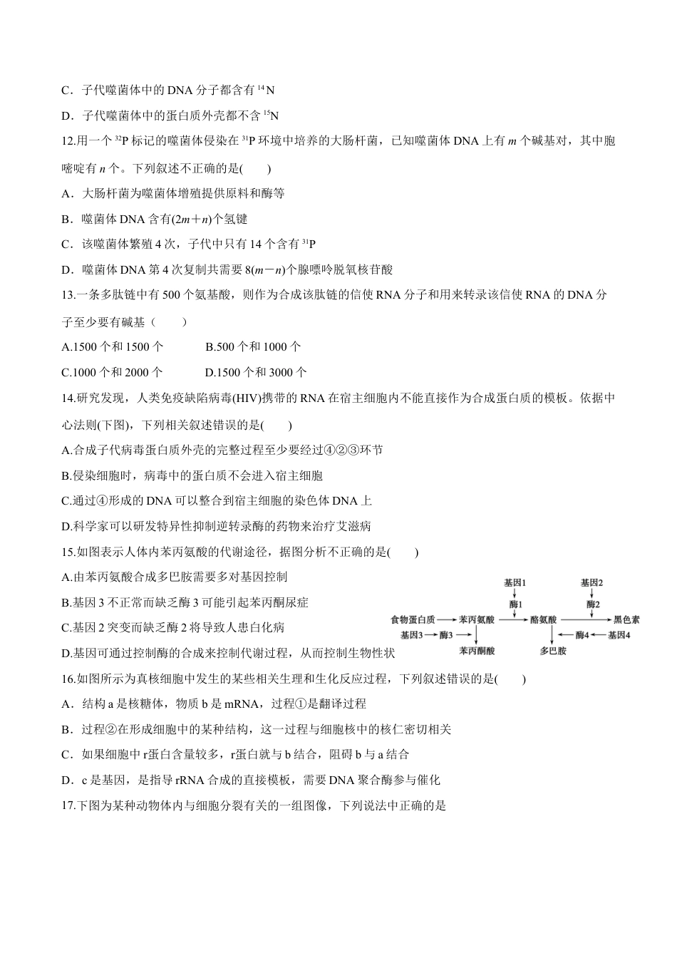 高中生物必修2 高一生物下学期期末测试卷03（新教材必修二）（原卷版）.docx