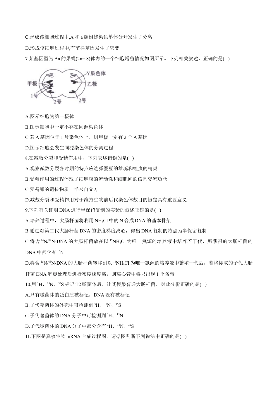 高中生物必修2 高一生物下学期期末测试卷01（新教材必修二）（原卷版）.docx