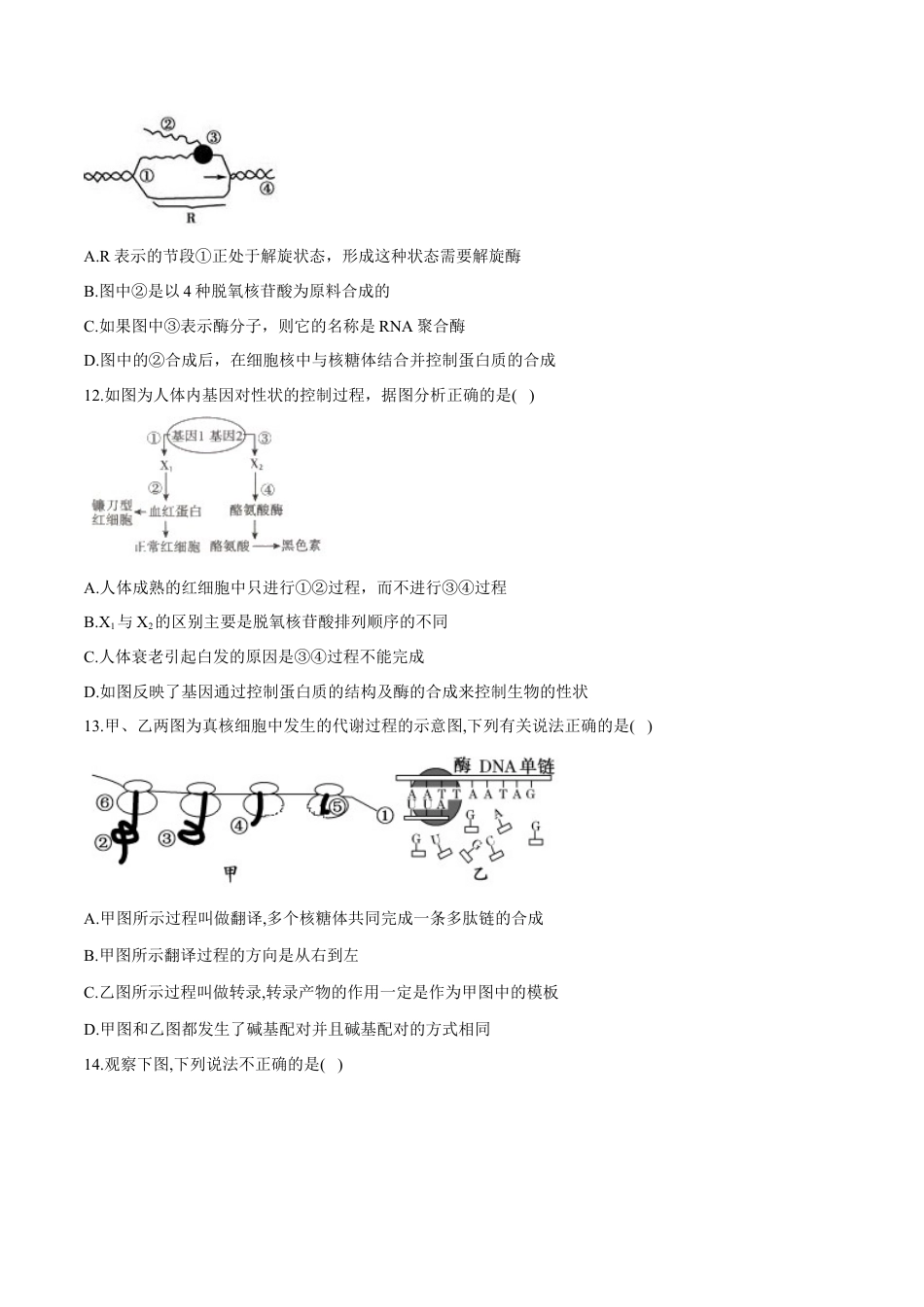 高中生物必修2 高一生物下学期期末测试卷01（新教材必修二）（原卷版）.docx