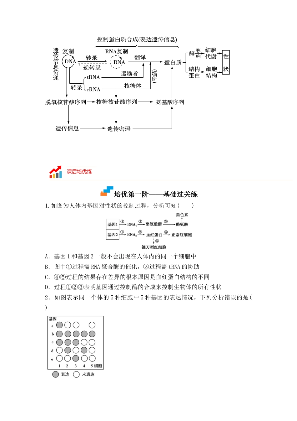 高中生物必修2 4.2 基因表达与性状的关系（原卷版）.docx