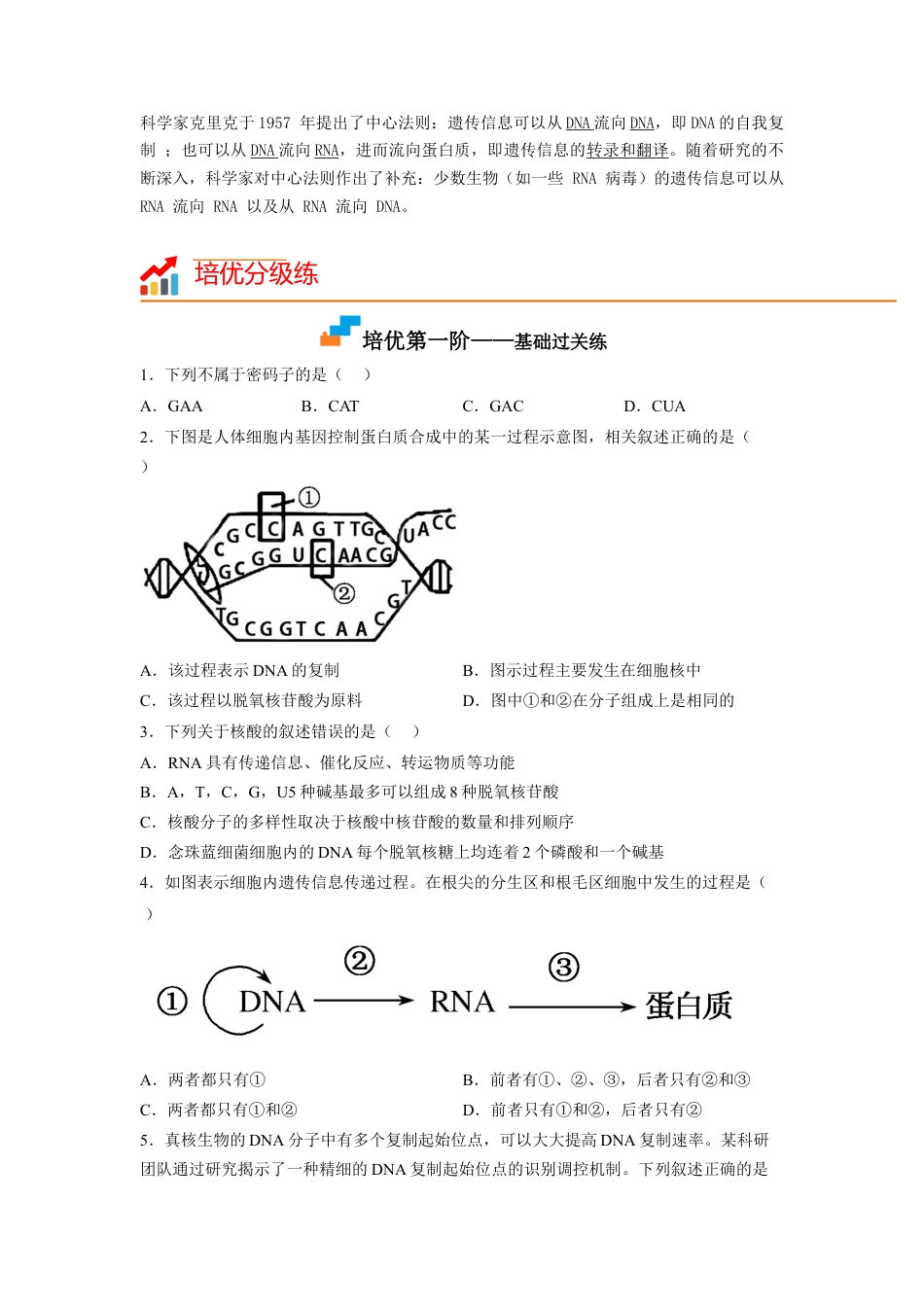 高中生物必修2 4.1 基因指导蛋白质的合成（原卷版）.docx