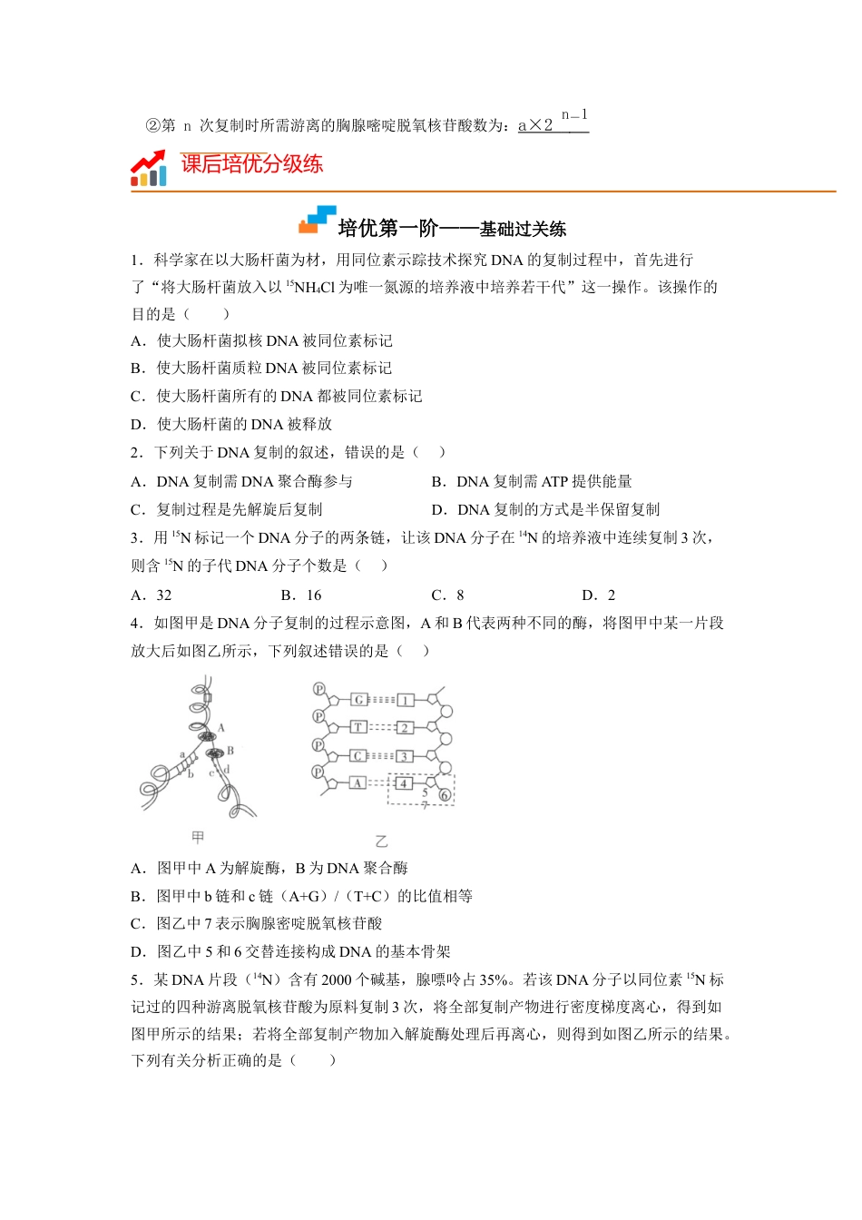 高中生物必修2 3.3 DNA的复制（原卷版）.docx
