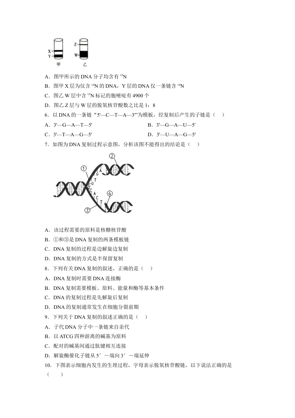 高中生物必修2 3.3 DNA的复制（原卷版）.docx