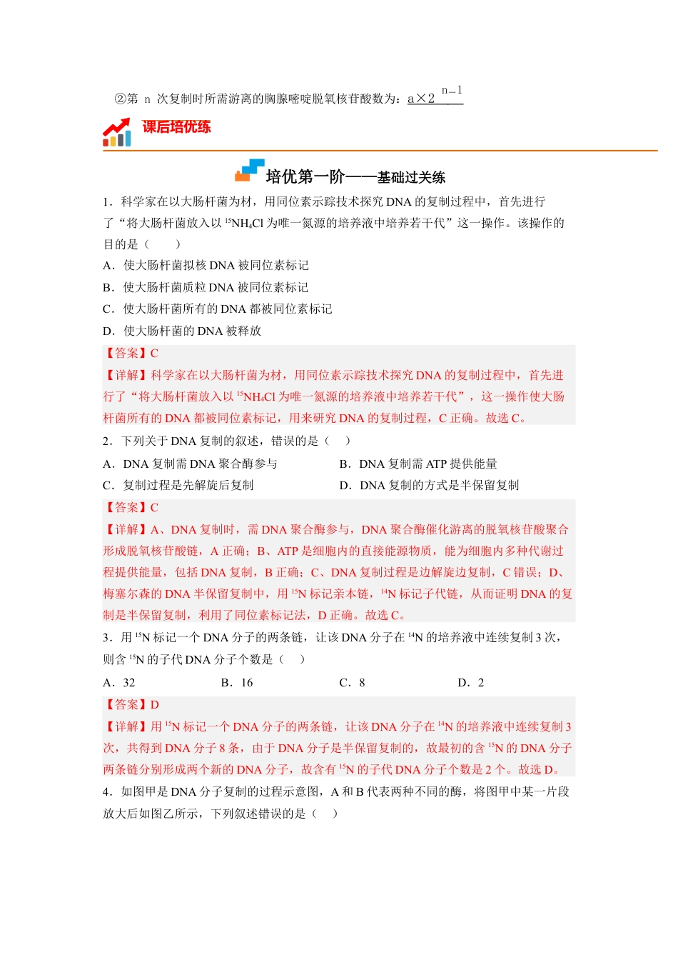 高中生物必修2 3.3 DNA的复制（解析版）.docx