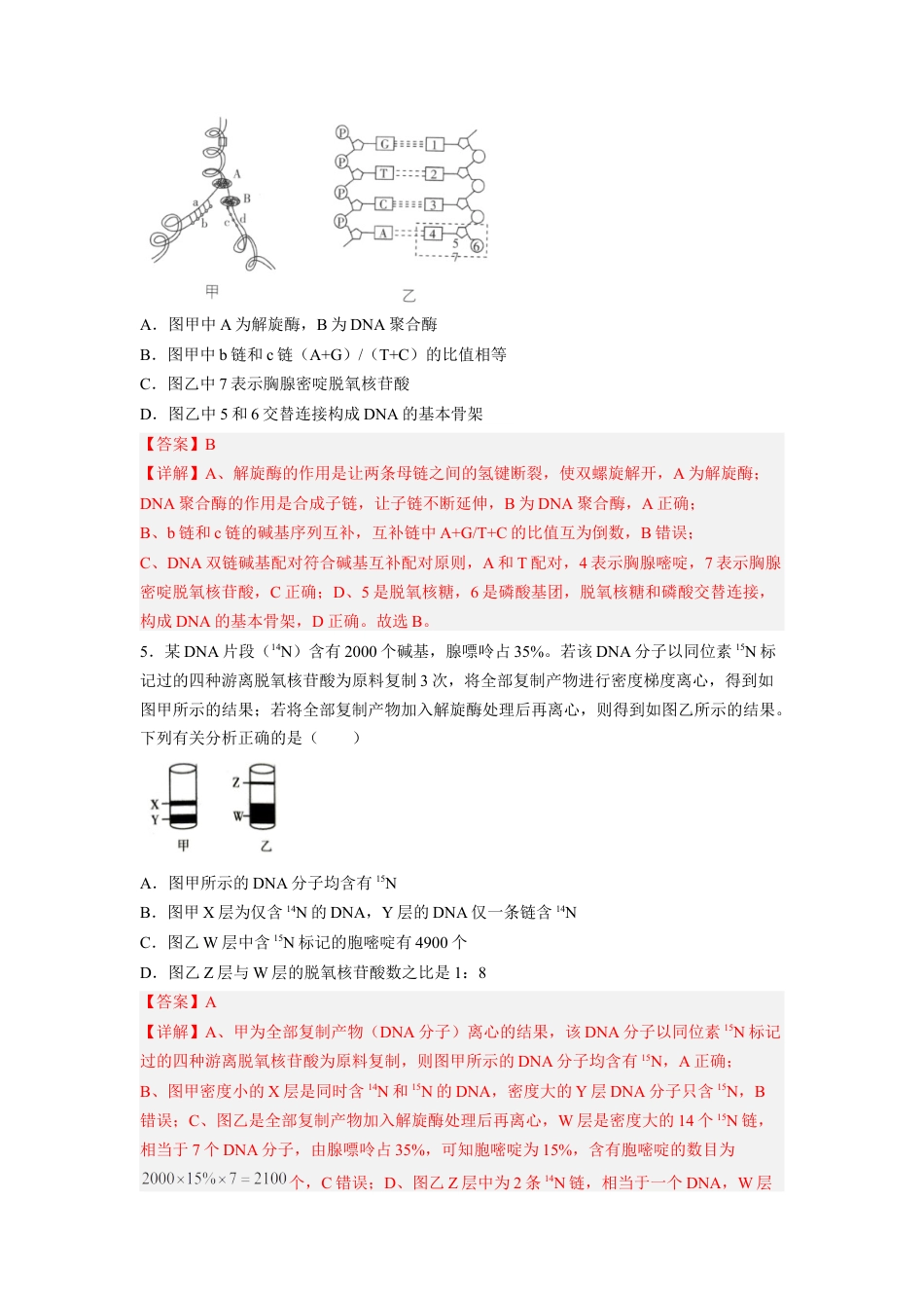高中生物必修2 3.3 DNA的复制（解析版）.docx