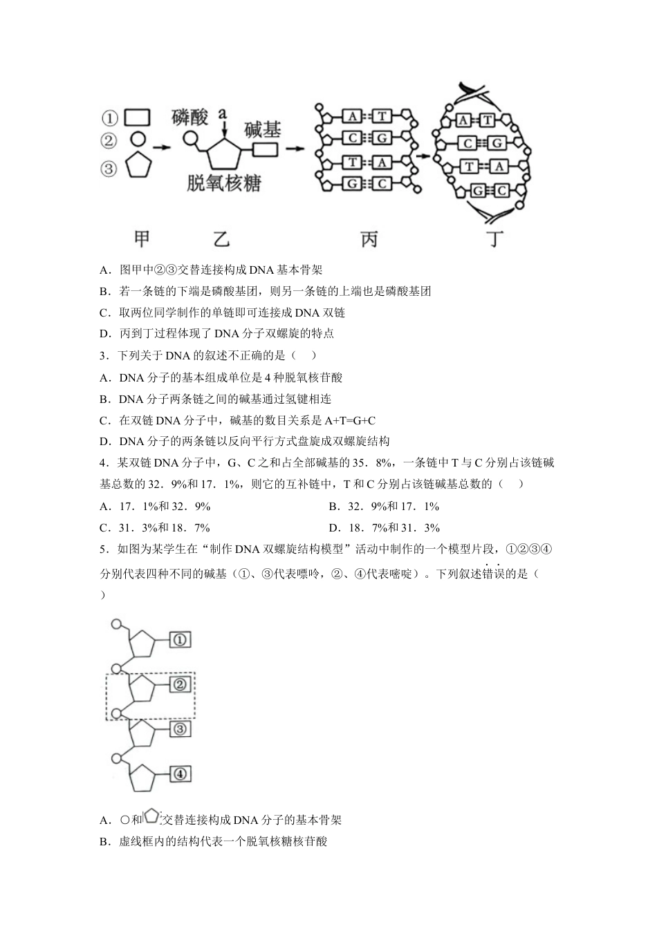 高中生物必修2 3.2 DNA的结构（原卷版）.docx