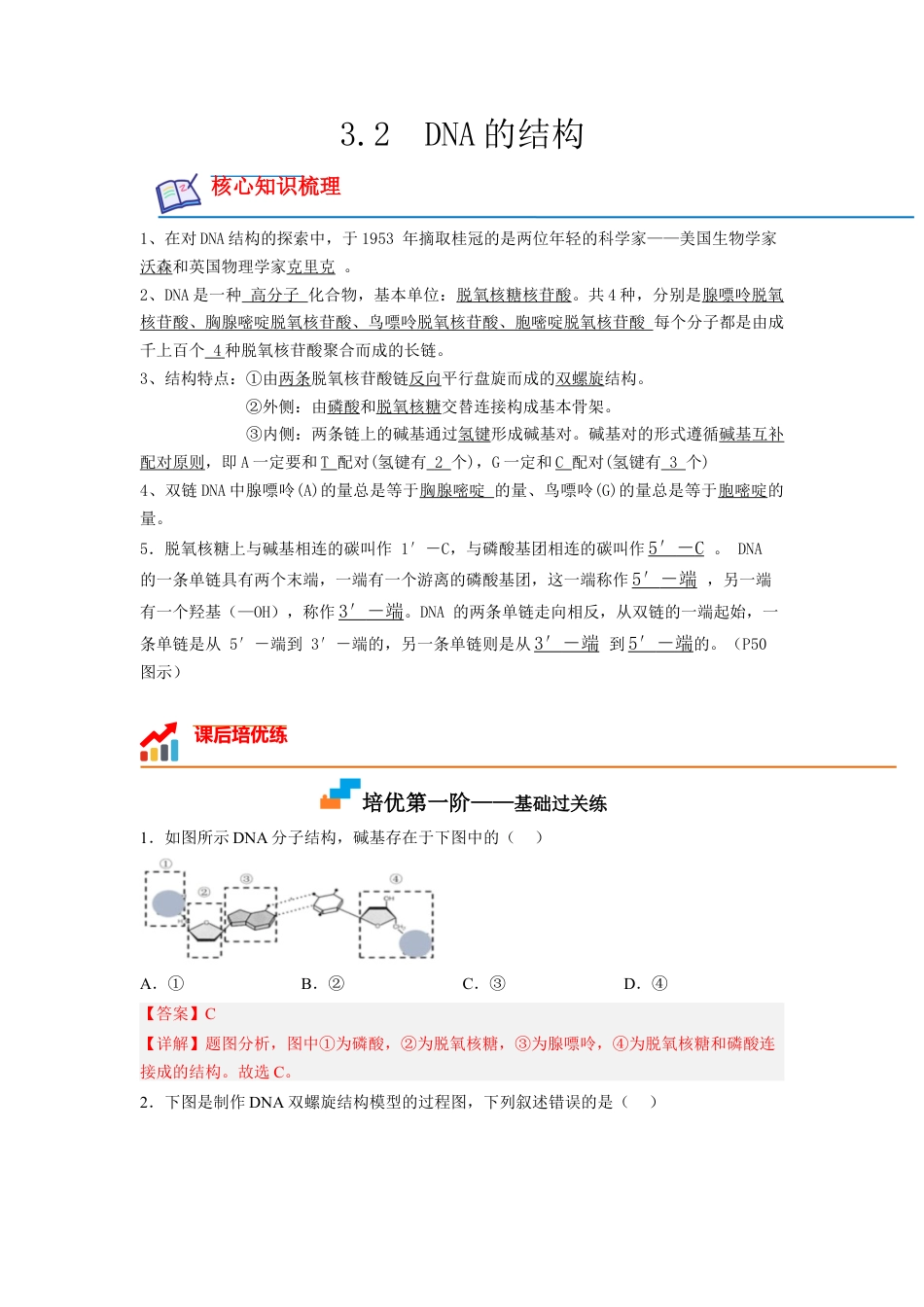 高中生物必修2 3.2 DNA的结构（解析版）.docx