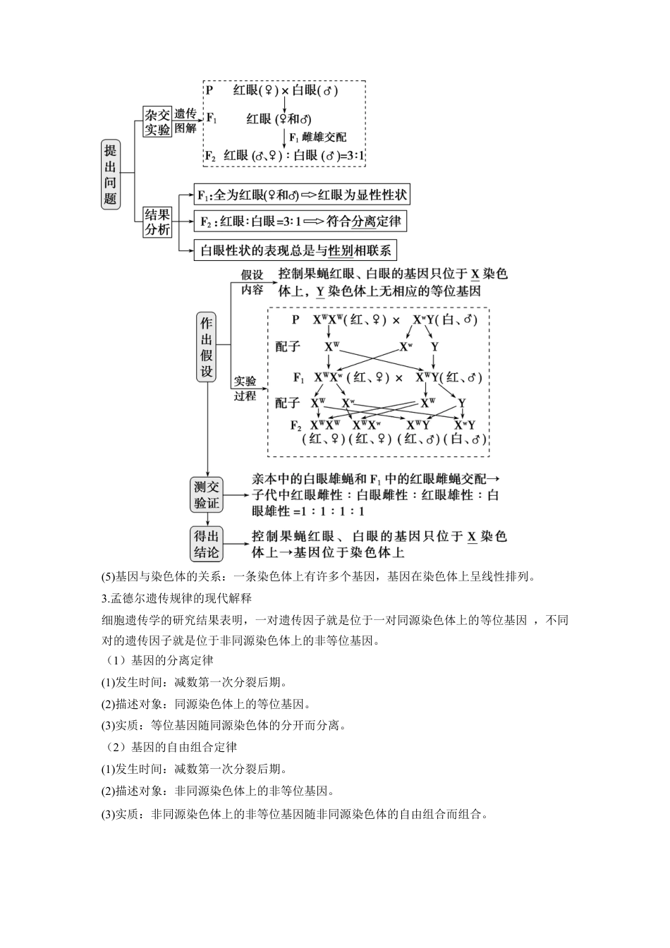 高中生物必修2 2.2 基因在染色体上（解析版）.docx