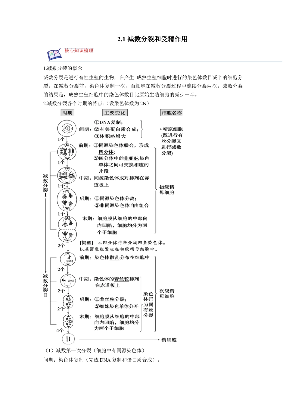 高中生物必修2 2.1 减数分裂和受精作用（原卷版）.docx