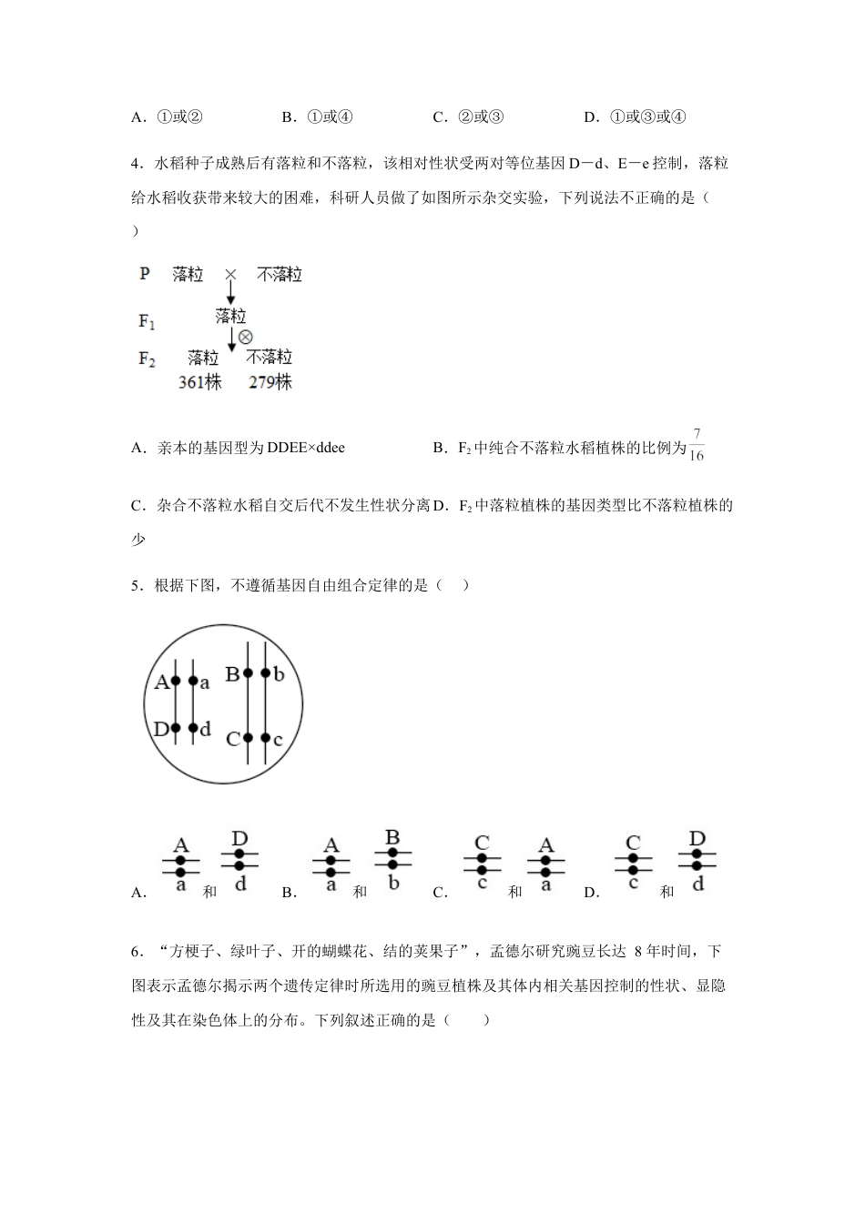 高中生物必修2 1.2 孟德尔的豌豆杂交实验（二）（原卷版）.docx