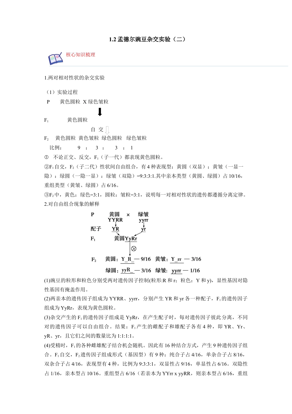 高中生物必修2 1.2 孟德尔的豌豆杂交实验（二）（解析版）.docx