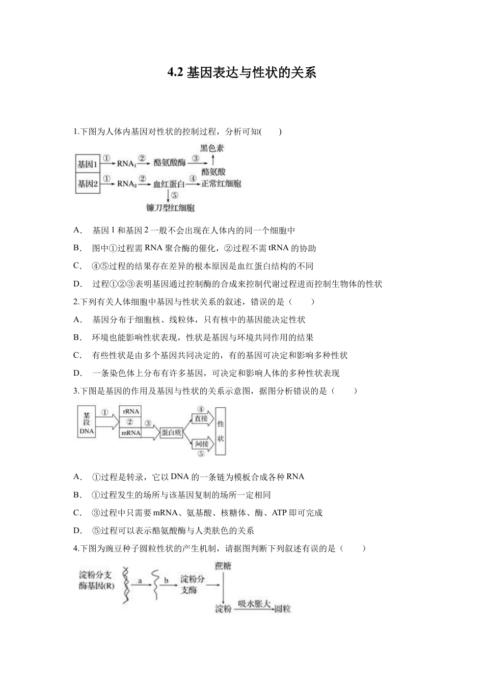 高中生物必修2 【新教材精创】4.2 基因表达与性状的关系 练习（1）（原卷版）.docx
