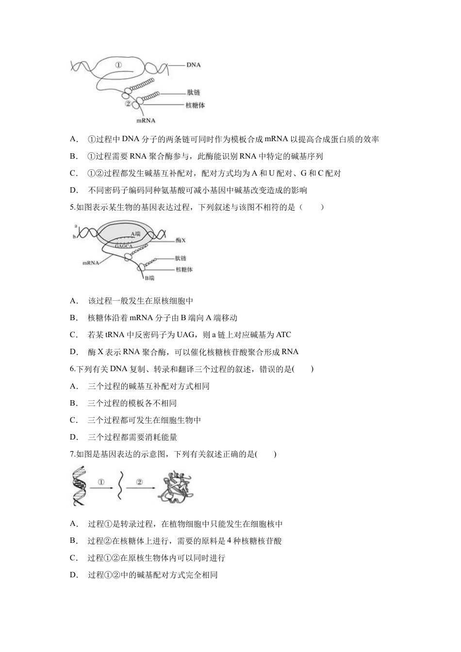 高中生物必修2 【新教材精创】4.1.2 基因指导蛋白质的合成 练习（1）（原卷版）.docx