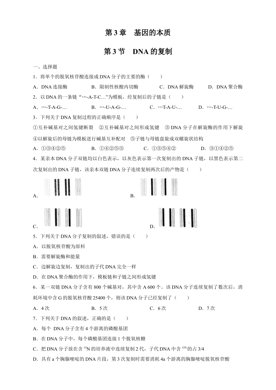 高中生物必修2 【新教材精创】3.3 DNA的复制 练习（2）（原卷版）.docx