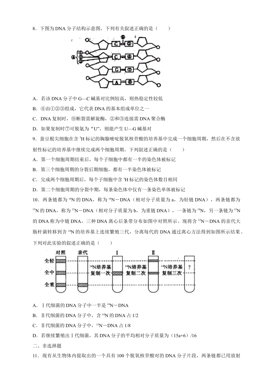 高中生物必修2 【新教材精创】3.3 DNA的复制 练习（2）（原卷版）.docx