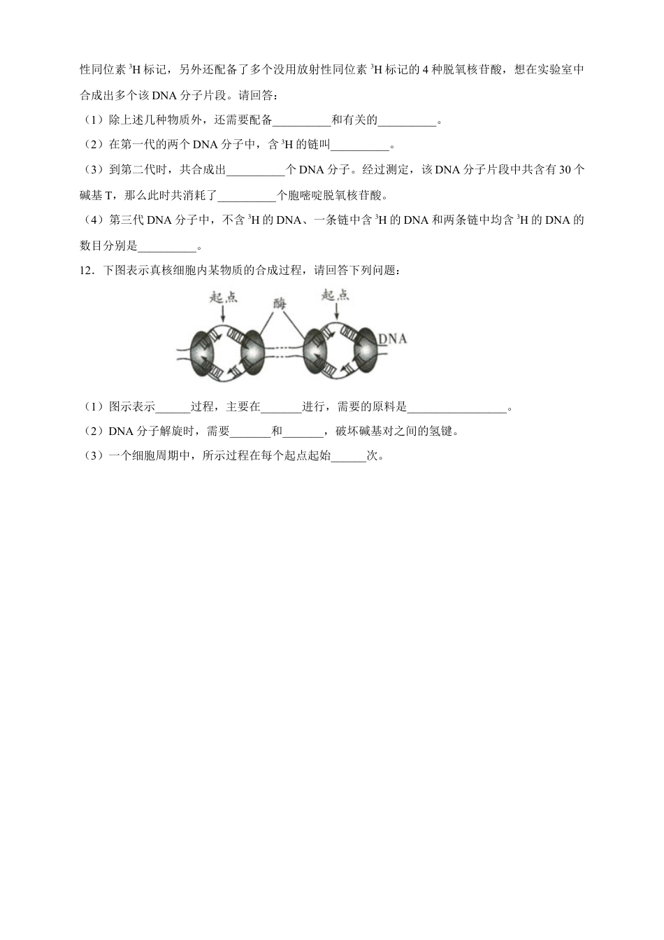 高中生物必修2 【新教材精创】3.3 DNA的复制 练习（2）（原卷版）.docx