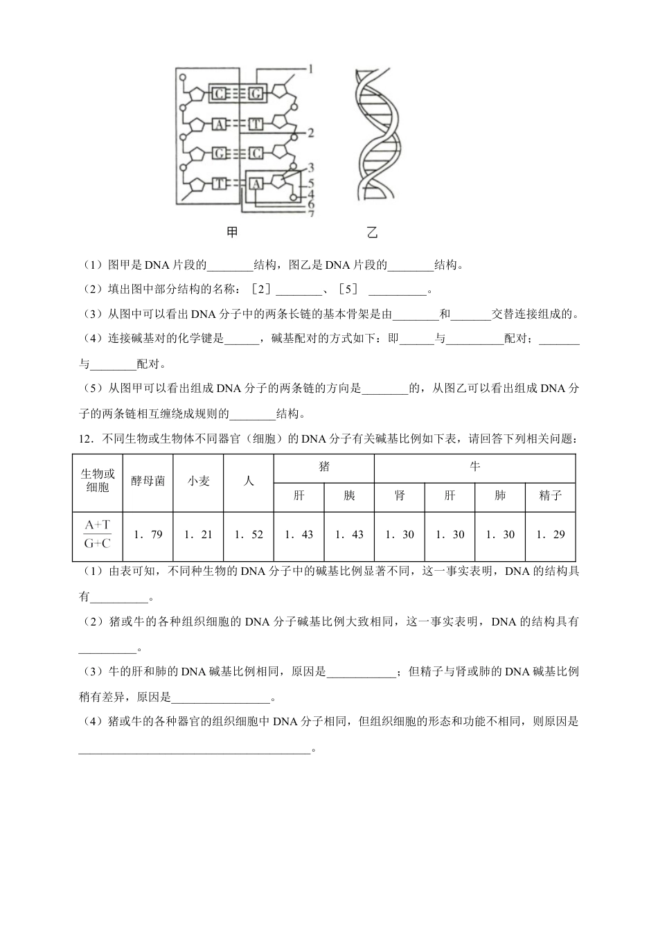 高中生物必修2 【新教材精创】3.2 DNA的结构 练习（2）（原卷版）.docx