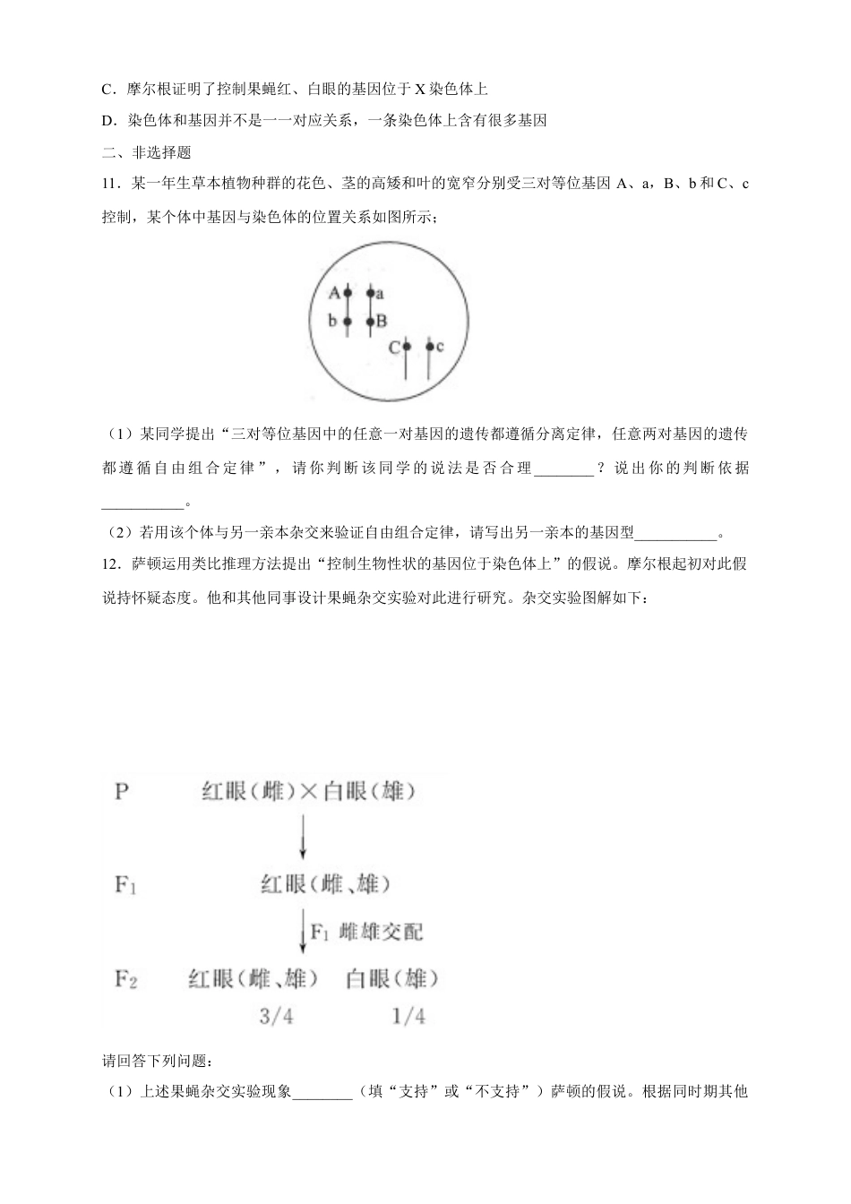 高中生物必修2 【新教材精创】2.2 基因在染色体上 练习（2）（原卷版）.docx