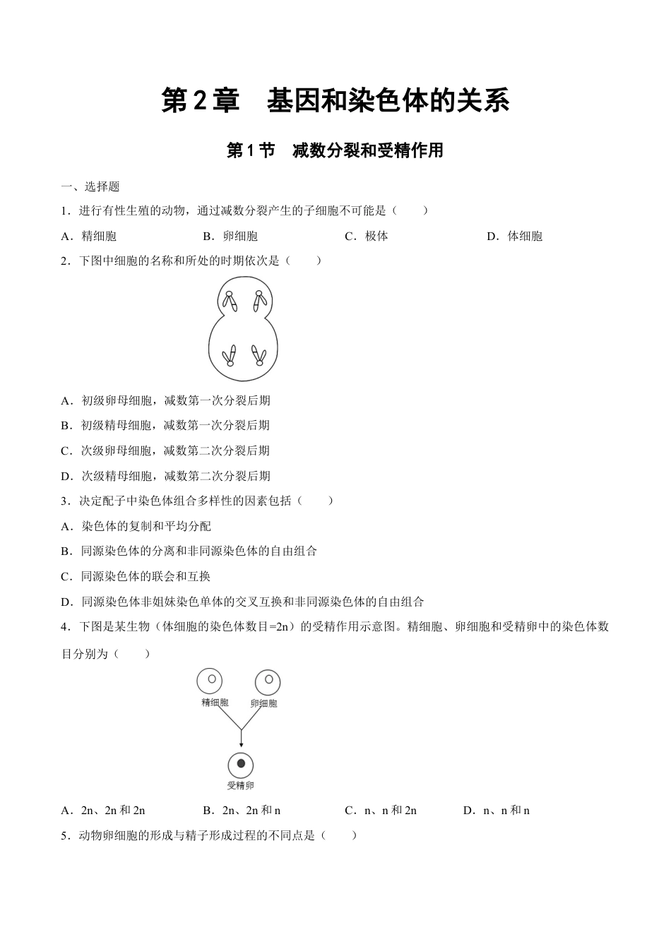 高中生物必修2 【新教材】2.12 减数分裂和受精作用 练习（2）（原卷版）.docx