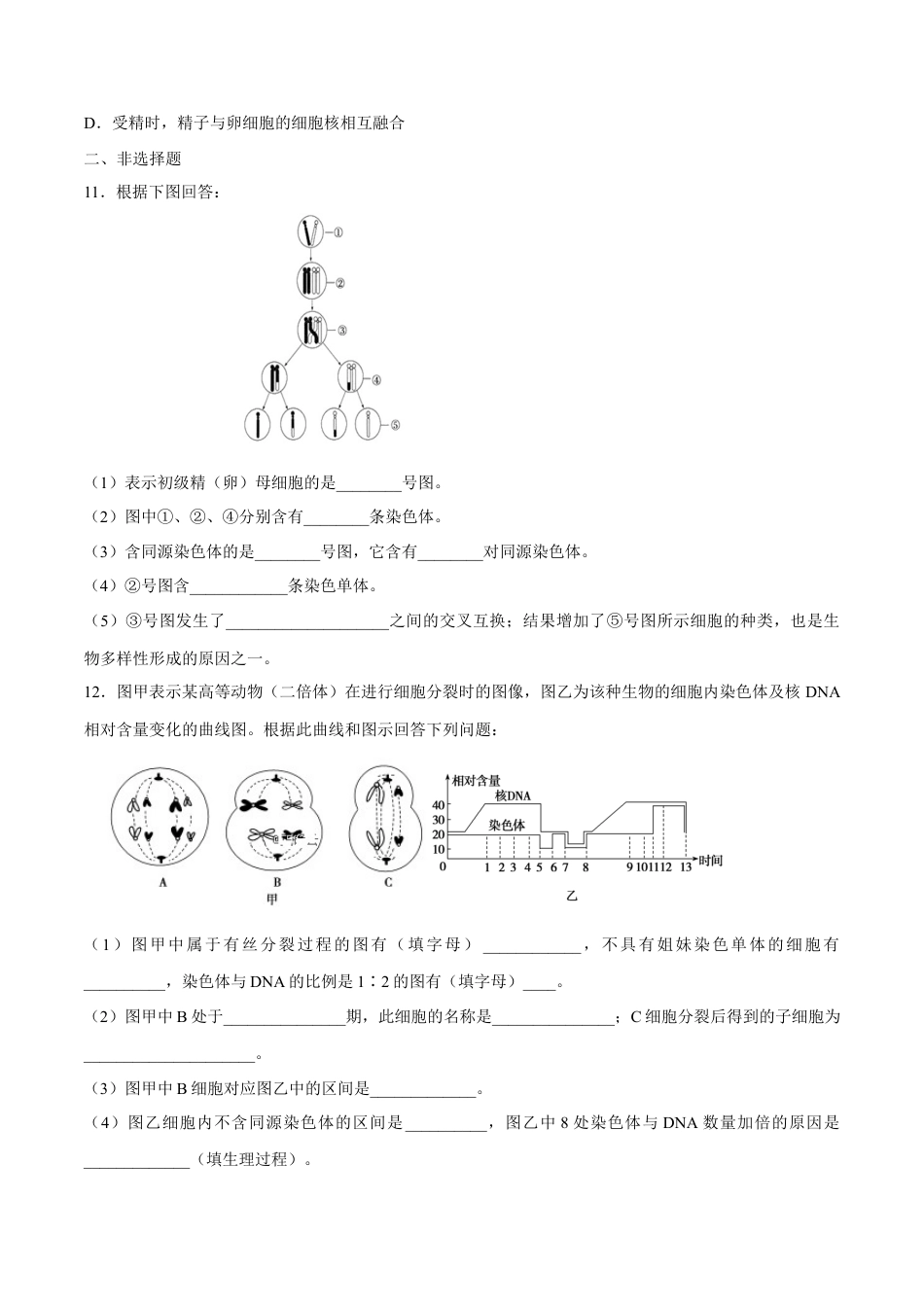 高中生物必修2 【新教材】2.12 减数分裂和受精作用 练习（2）（原卷版）.docx