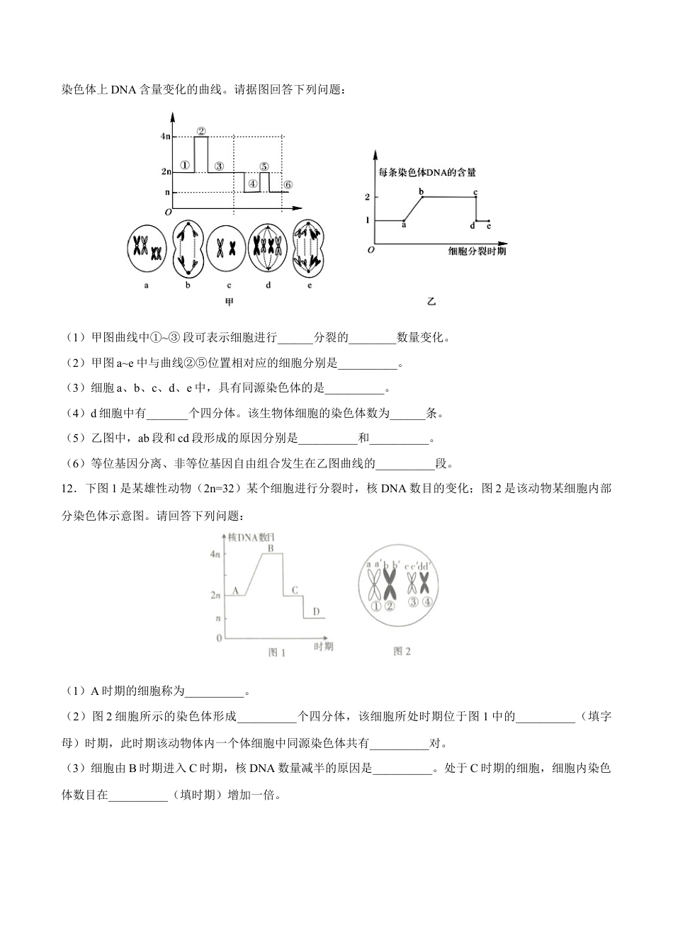 高中生物必修2 【新教材】2.11 减数分裂和受精作用 练习（2）（原卷版）.docx