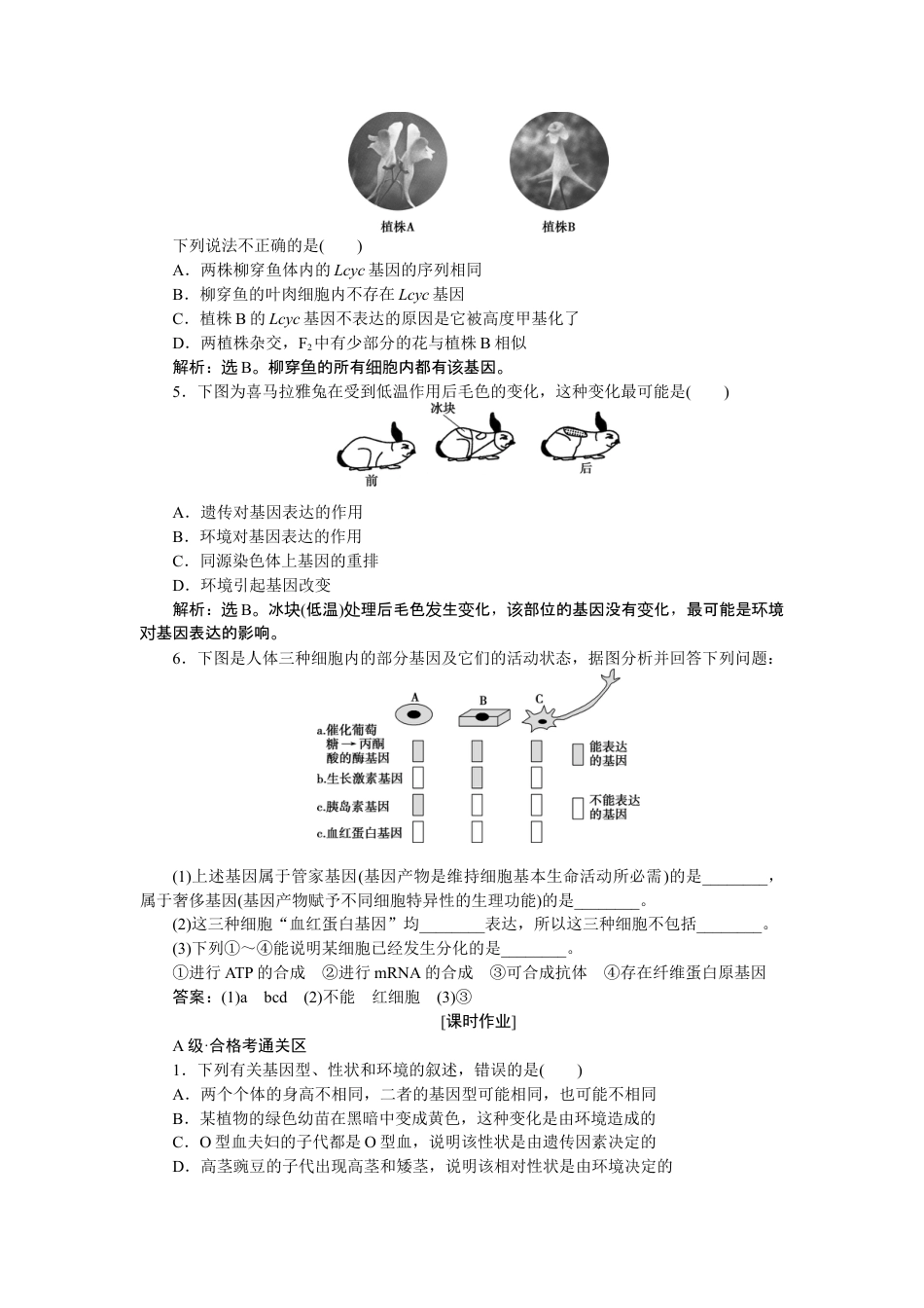 高中生物必修2 《第2节 基因表达与性状的关系》随堂达标检测.doc