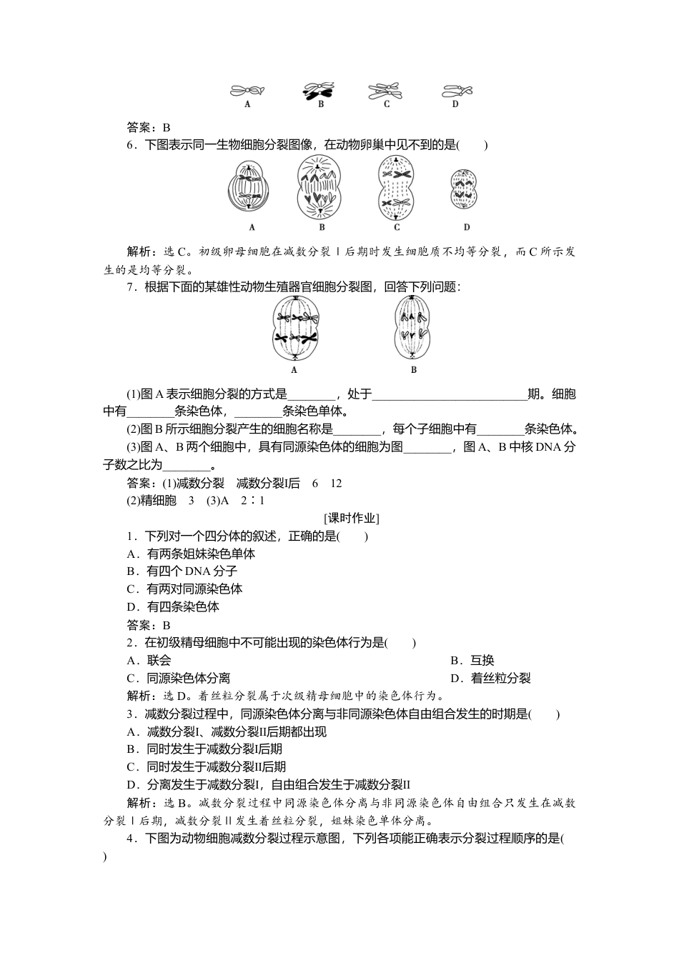 高中生物必修2 《第1节 减数分裂和受精作用》课时练习04.doc