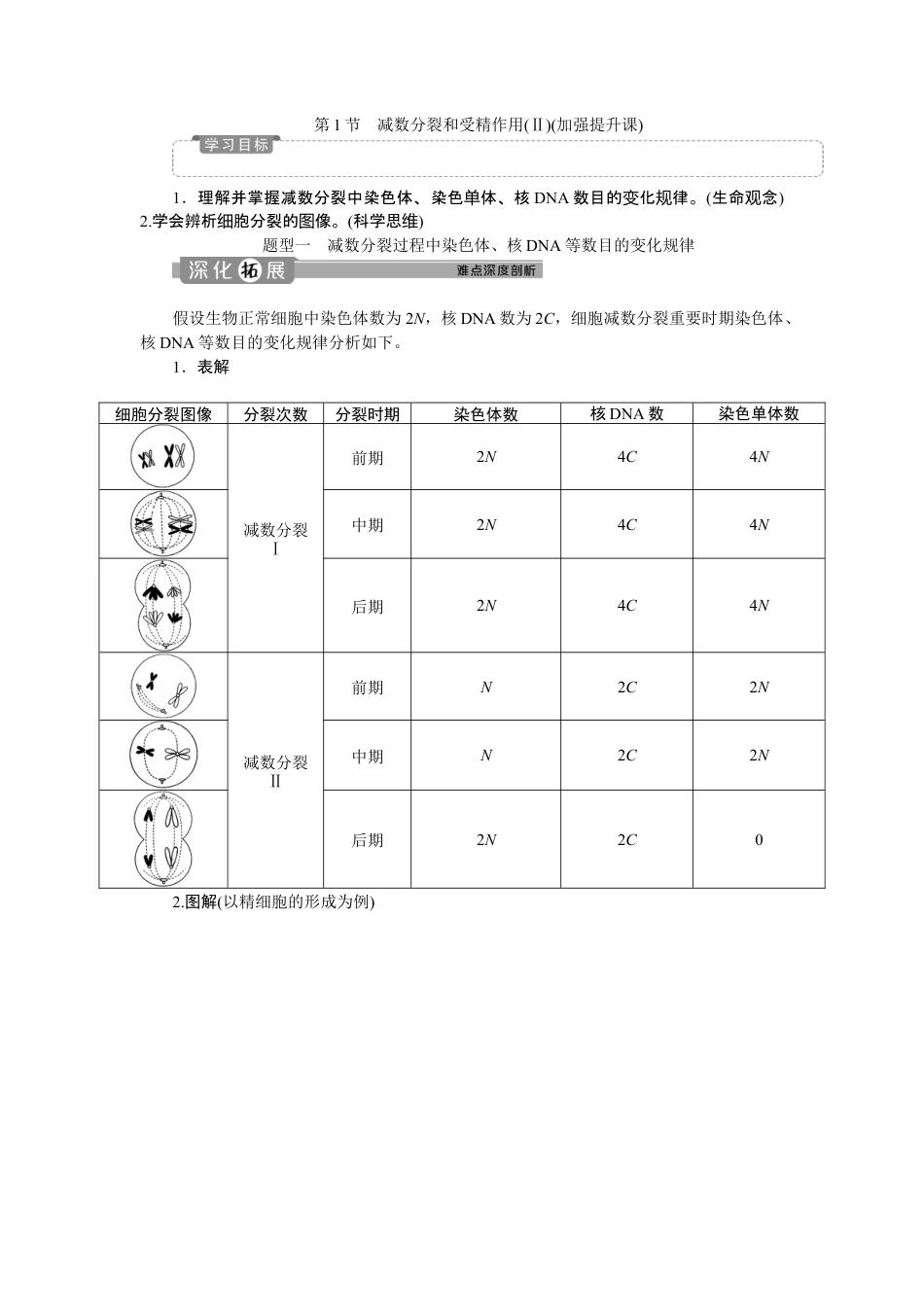 高中生物必修2 《第1节 减数分裂和受精作用》课时练习01.doc