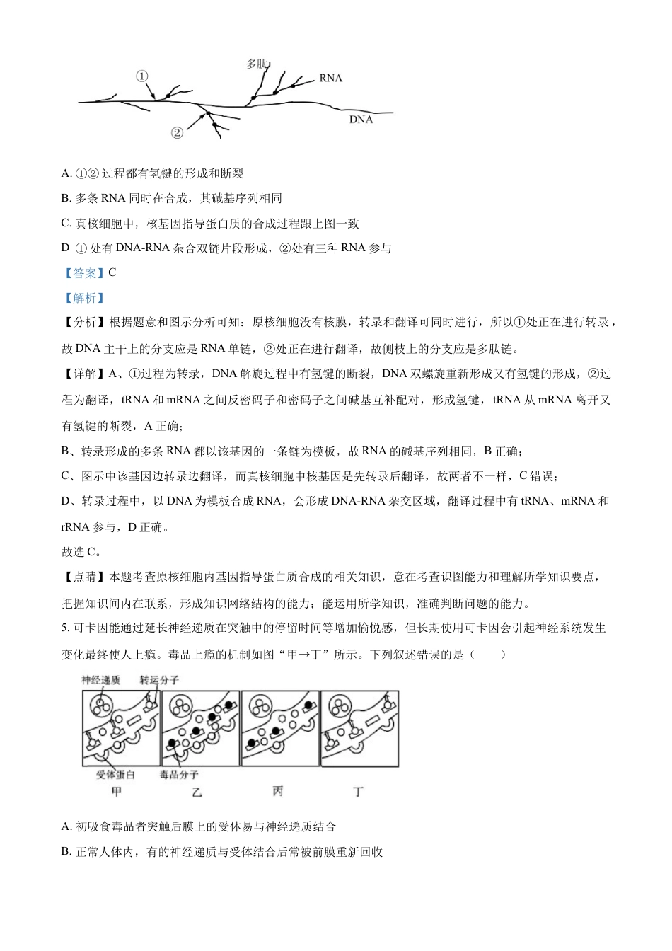高中生物选修1 2022-2023学年高三上学期期末生物试题（解析版）.docx
