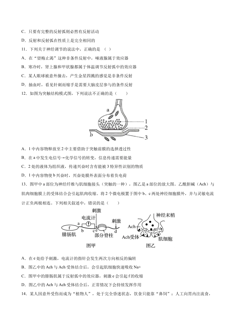 高中生物选修1 高二生物上学期期中测试卷02（人教版2019选择性必修1）（原卷版）.docx