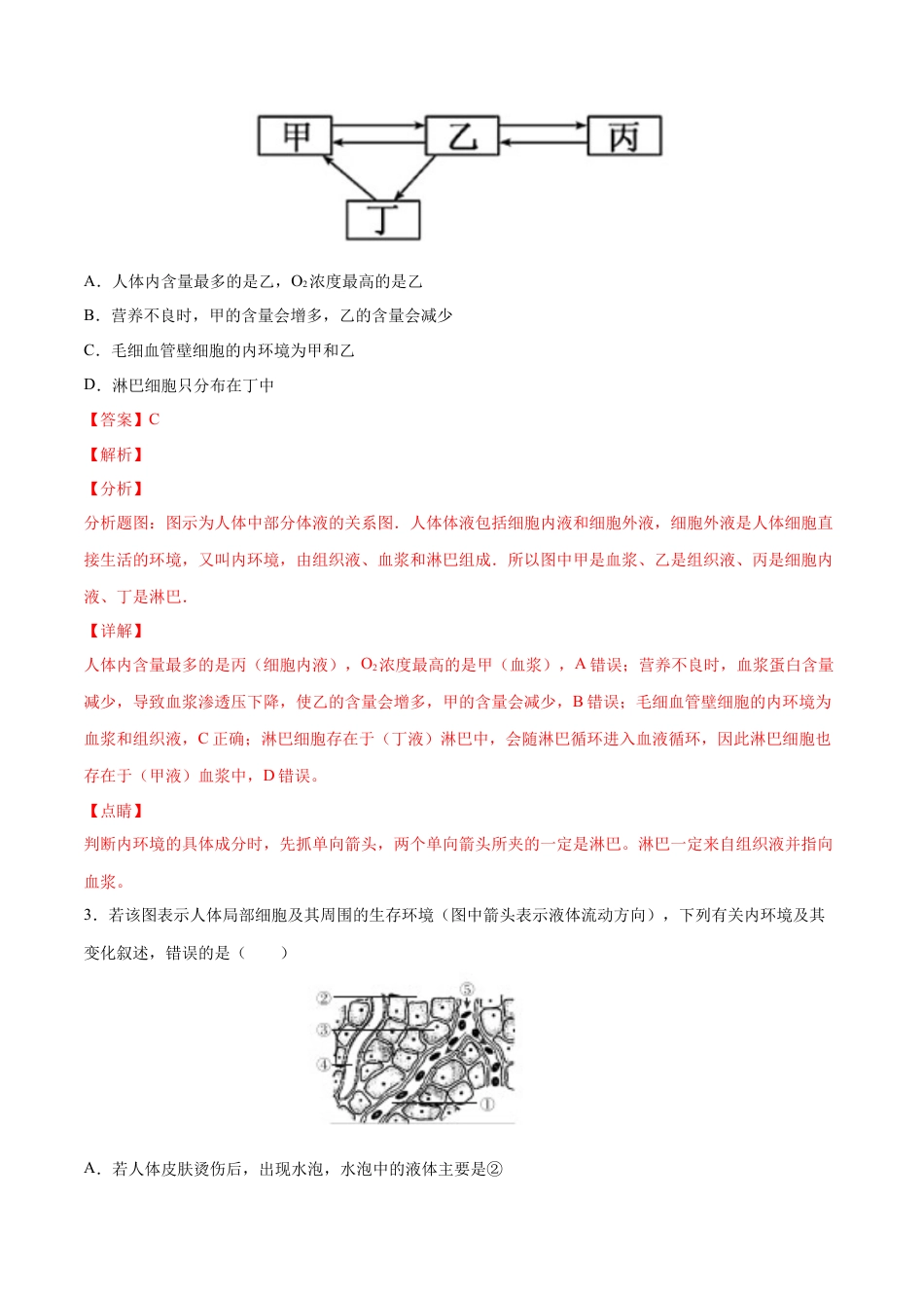 高中生物选修1 高二生物上学期期中测试卷02（人教版2019选择性必修1）（解析版）.docx