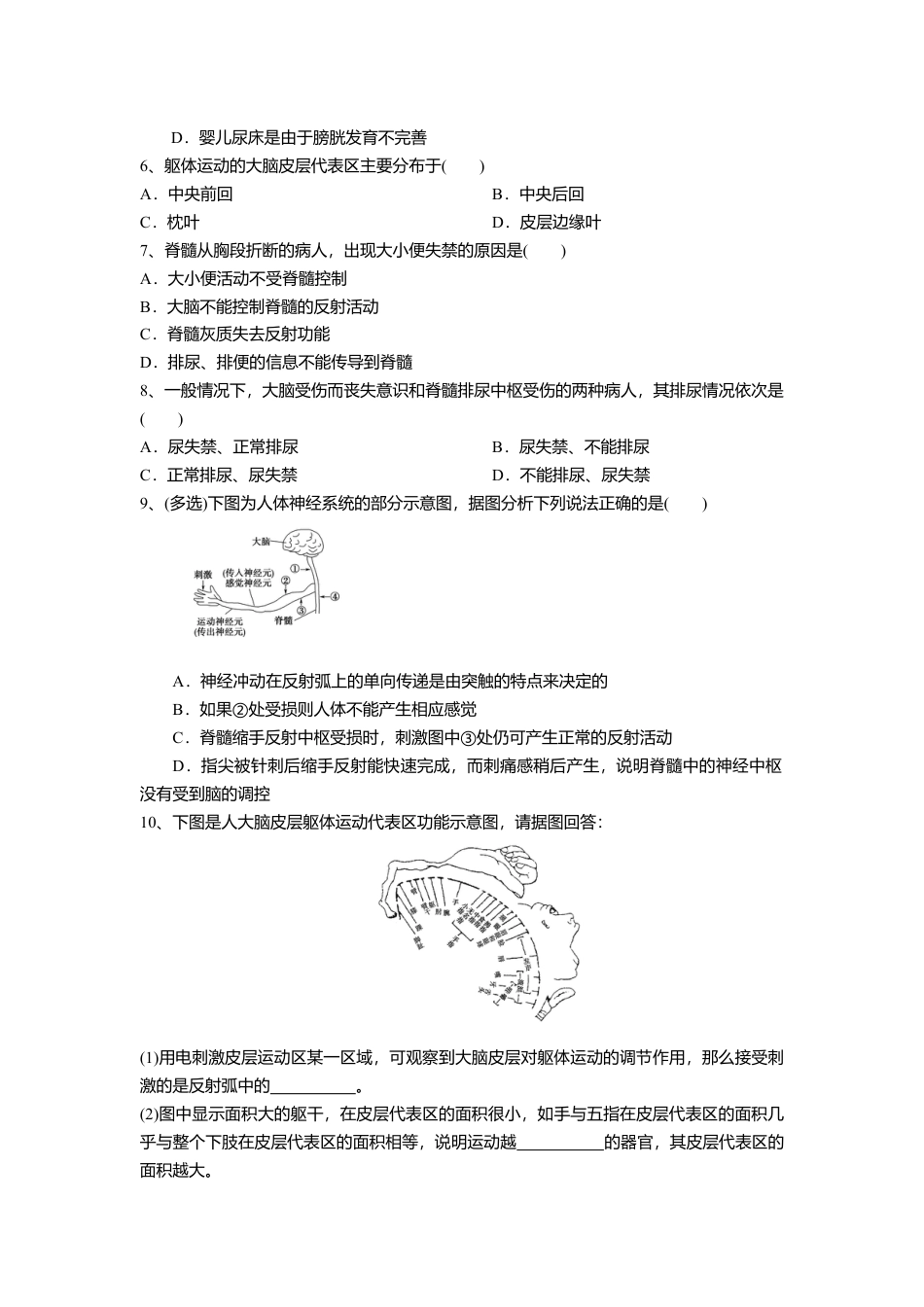 高中生物选修1 2.4 神经系统的分级调节（练习）（原卷版）.doc