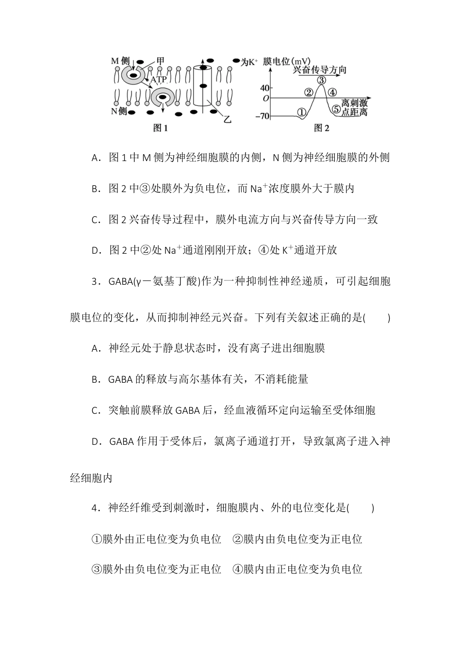 高中生物选修1 2.3神经冲动的产生和传导同步练习2022-2023学年高二上学期生物人教版选择性必修1.docx