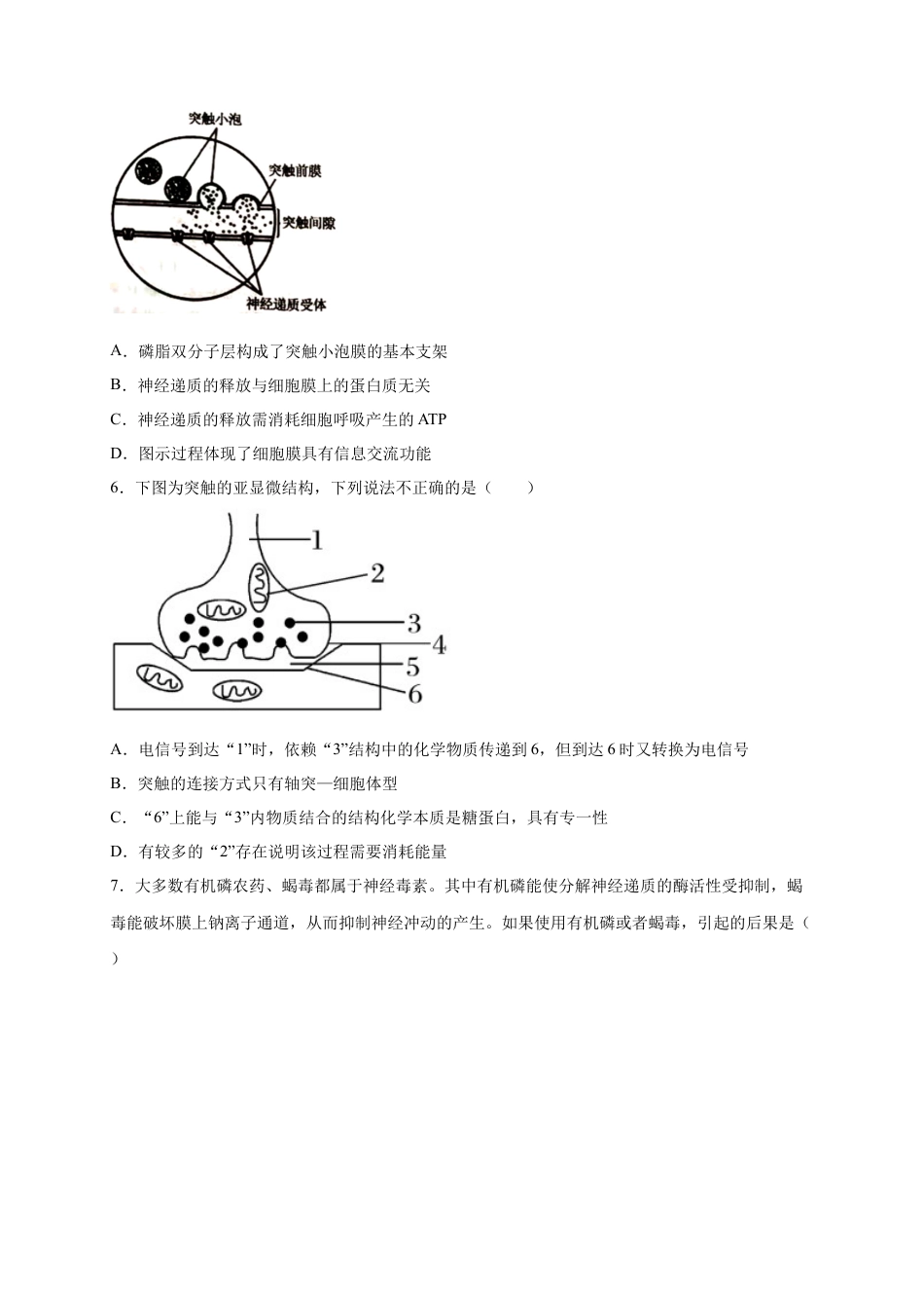 高中生物选修1 第2章 神经调节 单元测试卷 2022-2023学年人教版（2019）高中生物选择性必修1.docx