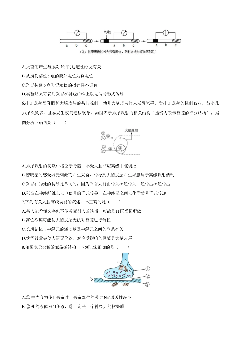 高中生物选修1 第2章 神经调节（测试卷）-2022-2023学年高二生物章末检测卷（人教版2019选择性必修1）（原卷版）.docx