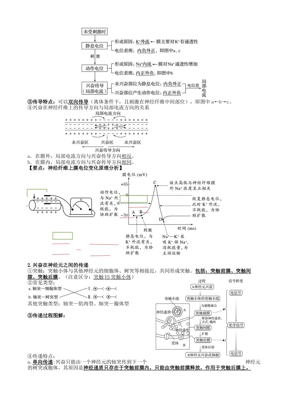高中生物选修1 高三生物一轮复习知识点总结：选择性必修1.docx