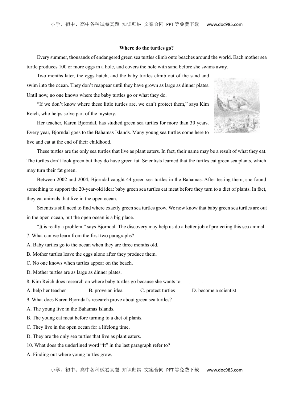 高中英语 必修2  人教版（2019）高中英语必修第二册：Unit2Wildlifeprotection单元测试（含答案与解析）.docx