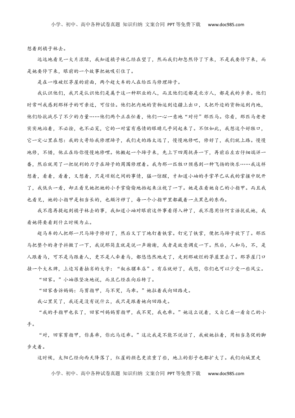 高考语文复习 专题突破卷   文学类文本阅读（原卷版）.docx