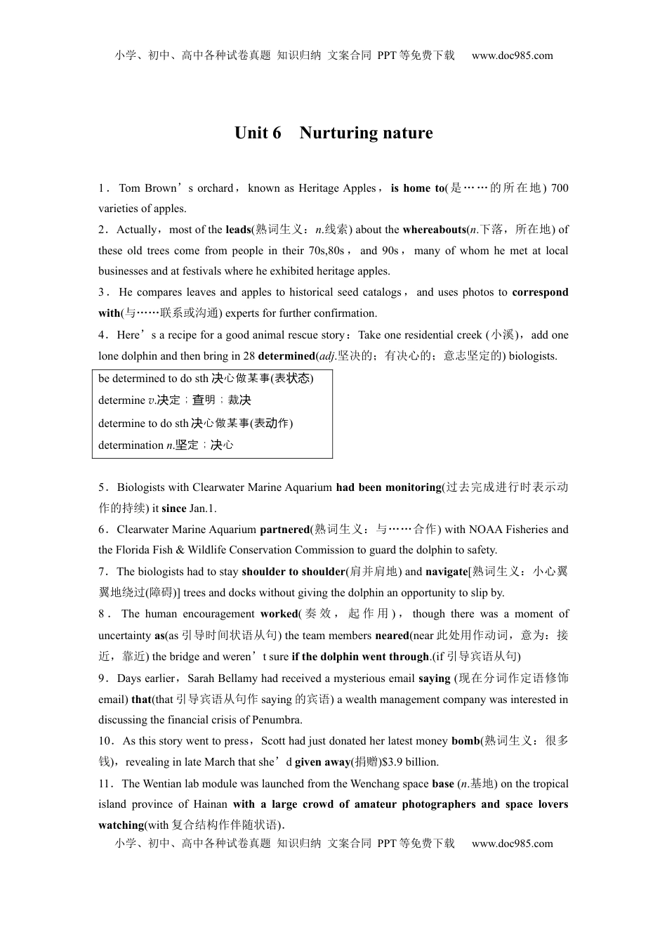 高考英语复习  选择性必修第一册　Unit 6　Nurturing nature (3).docx