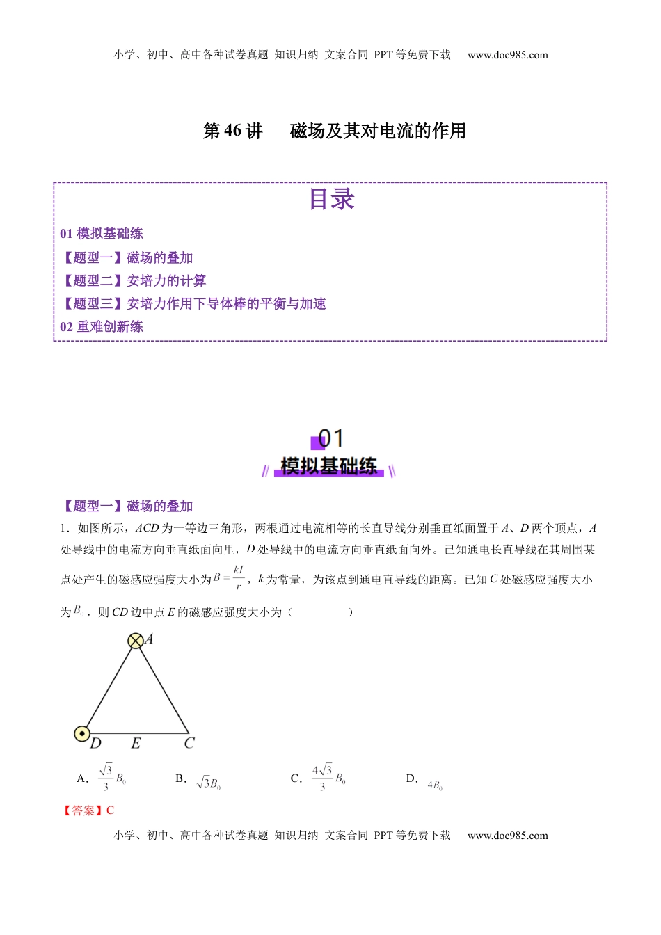 高考物理复习  第46讲   磁场及其对电流的作用（练习）（解析版）.docx