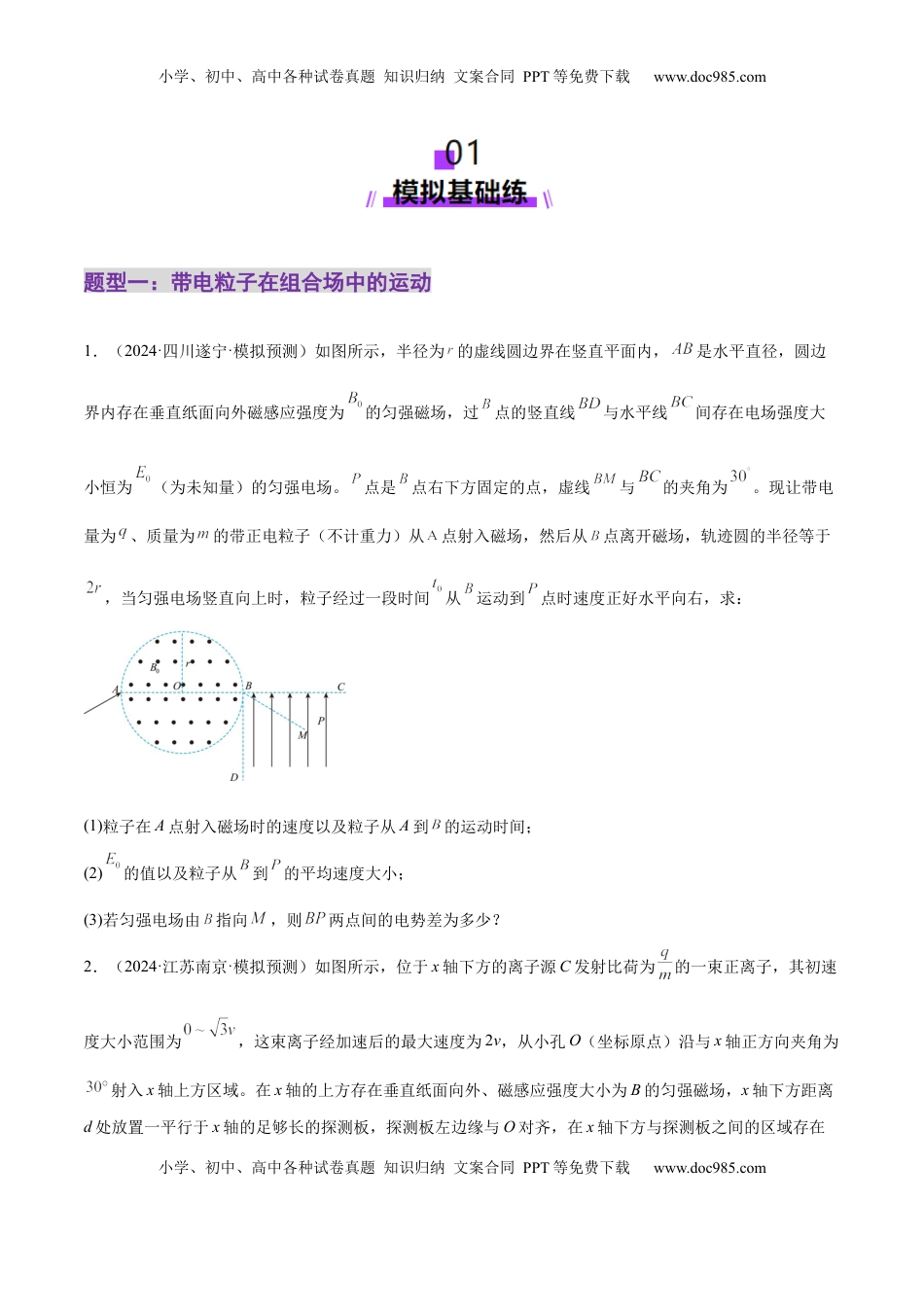 高考物理复习  专题11 带电粒子在复合场中的运动（练习）（原卷版）.docx